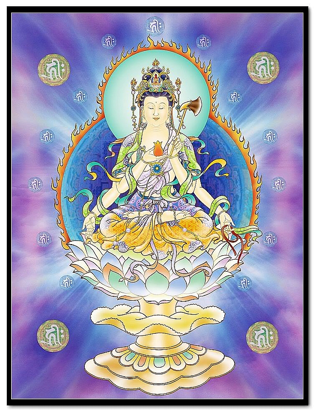 diep-y-quan-am