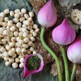 Các bài thuốc về cây sen